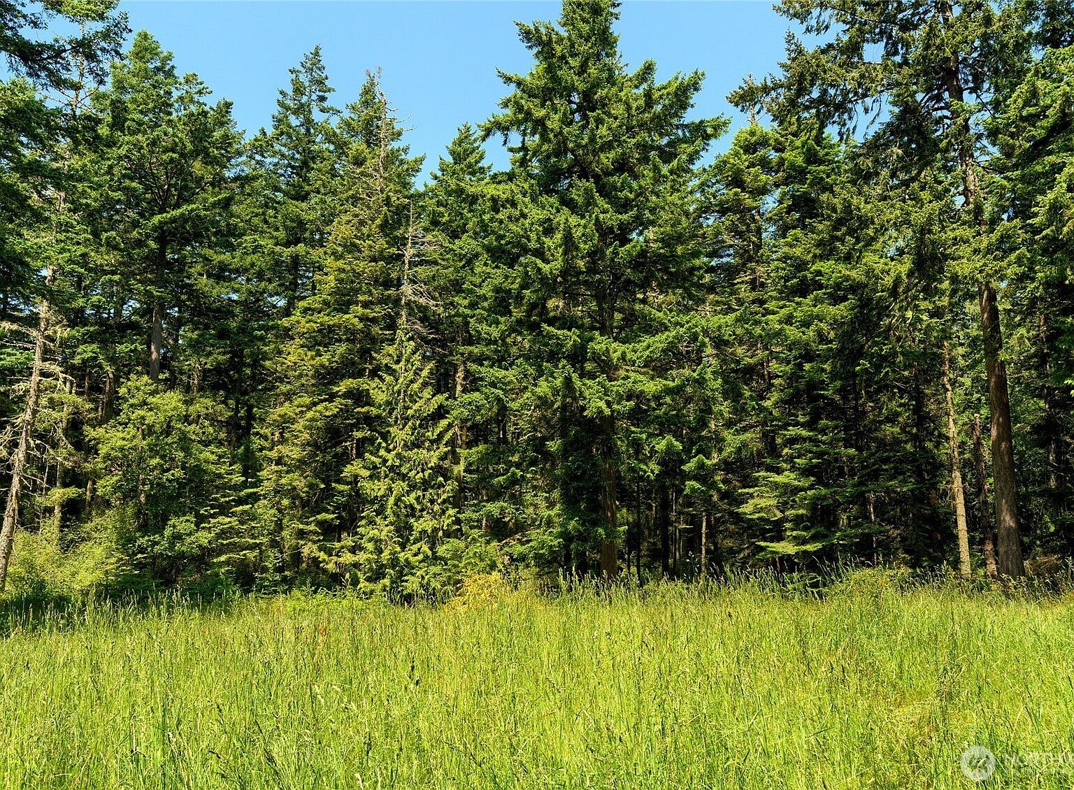 3596 Green Cliffs Rd Anacortes, WA 98221  | Land/Lot