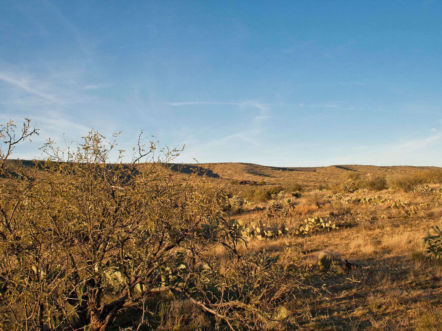 0 E Calle Rosa Linda Tucson, AZ 85739  | Land/Lot