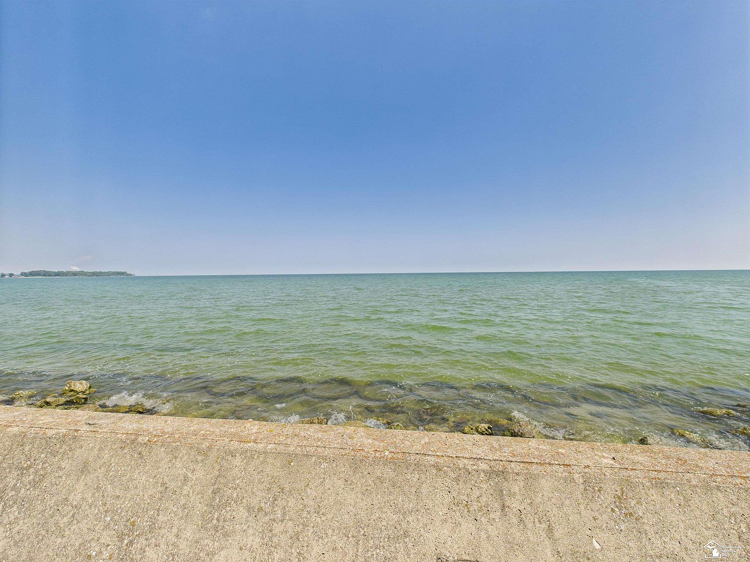 4356 S 14th St Luna Pier, MI 48157 | Single Family