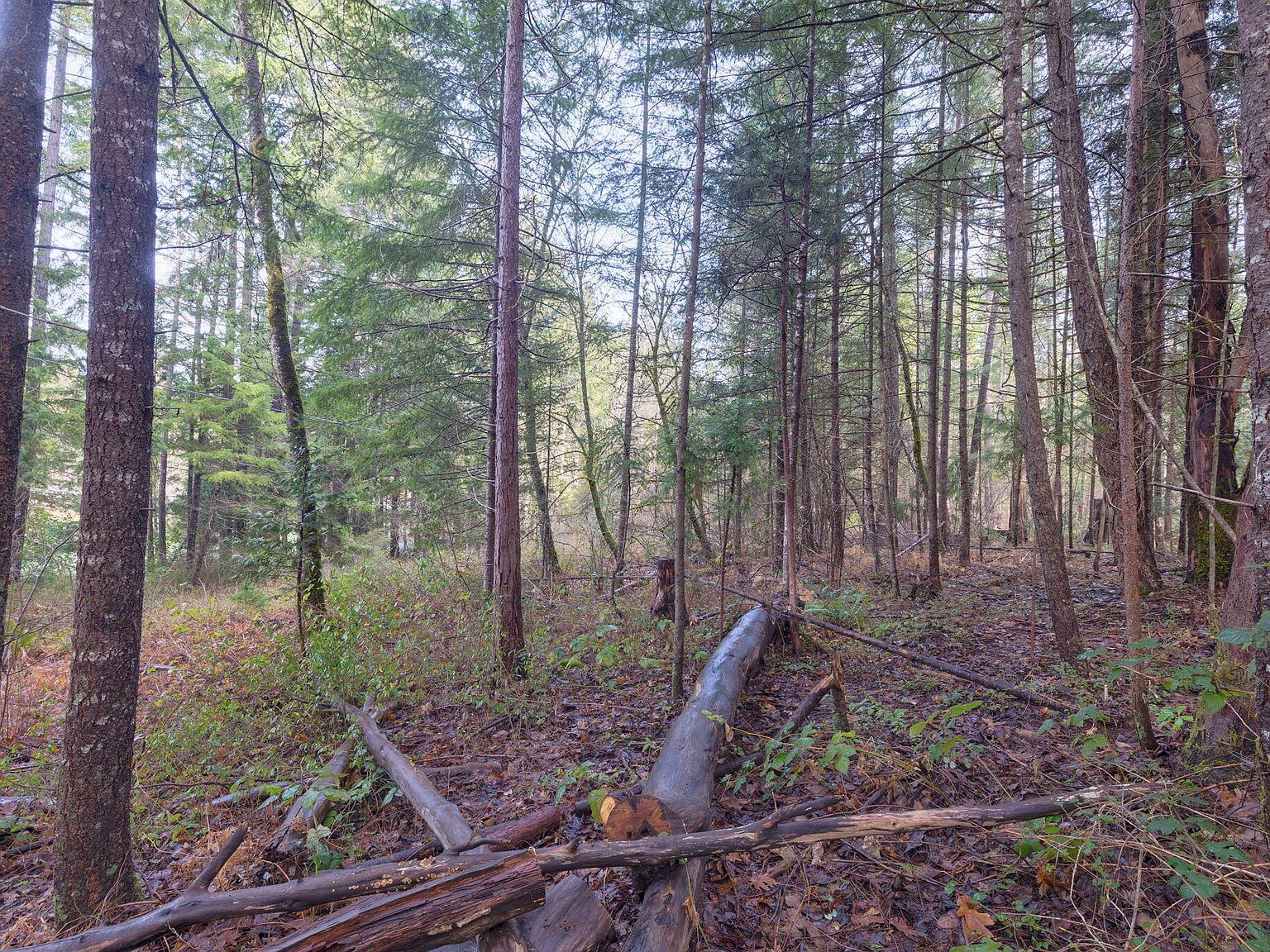 Old Stage Rd Wolf Creek, OR 97497  | Land/Lot