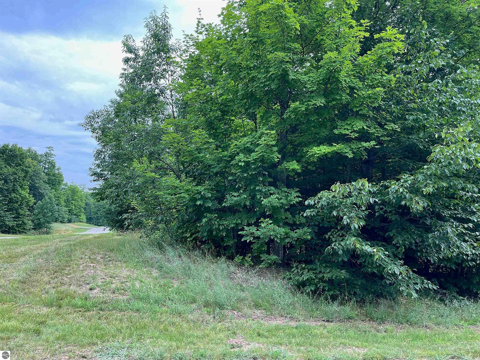 11 W Timberview Trl #11 Empire, MI 49630  | Land/Lot