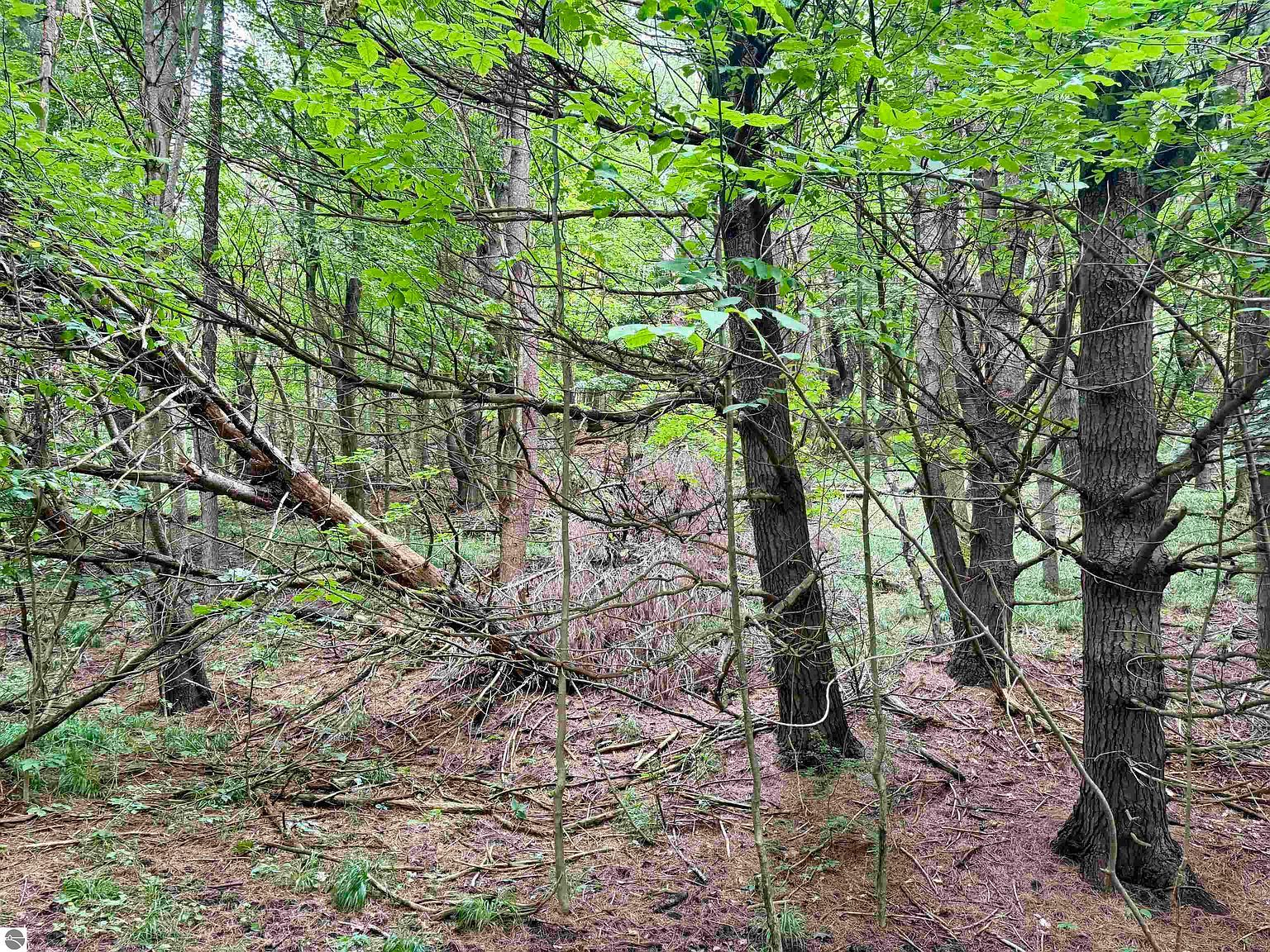 0 W Empire Hwy Empire, MI 49630  | Land/Lot