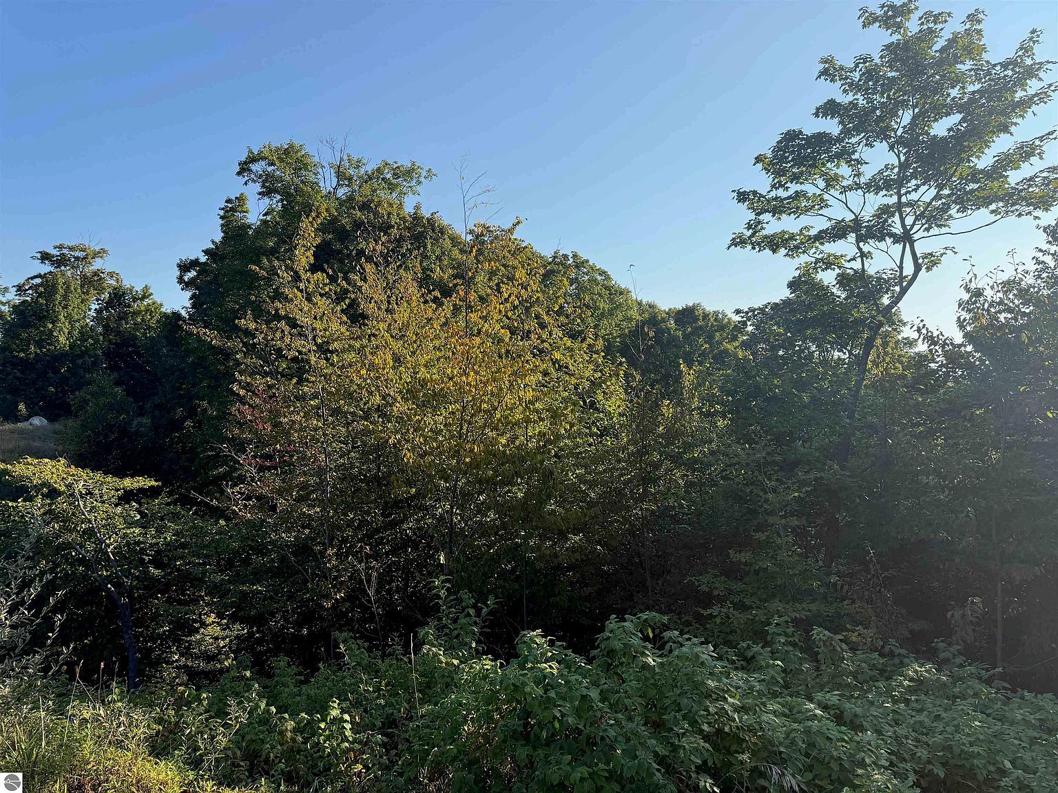 0 W Timber Wolf Ct #41 Empire, MI 49630  | Land/Lot