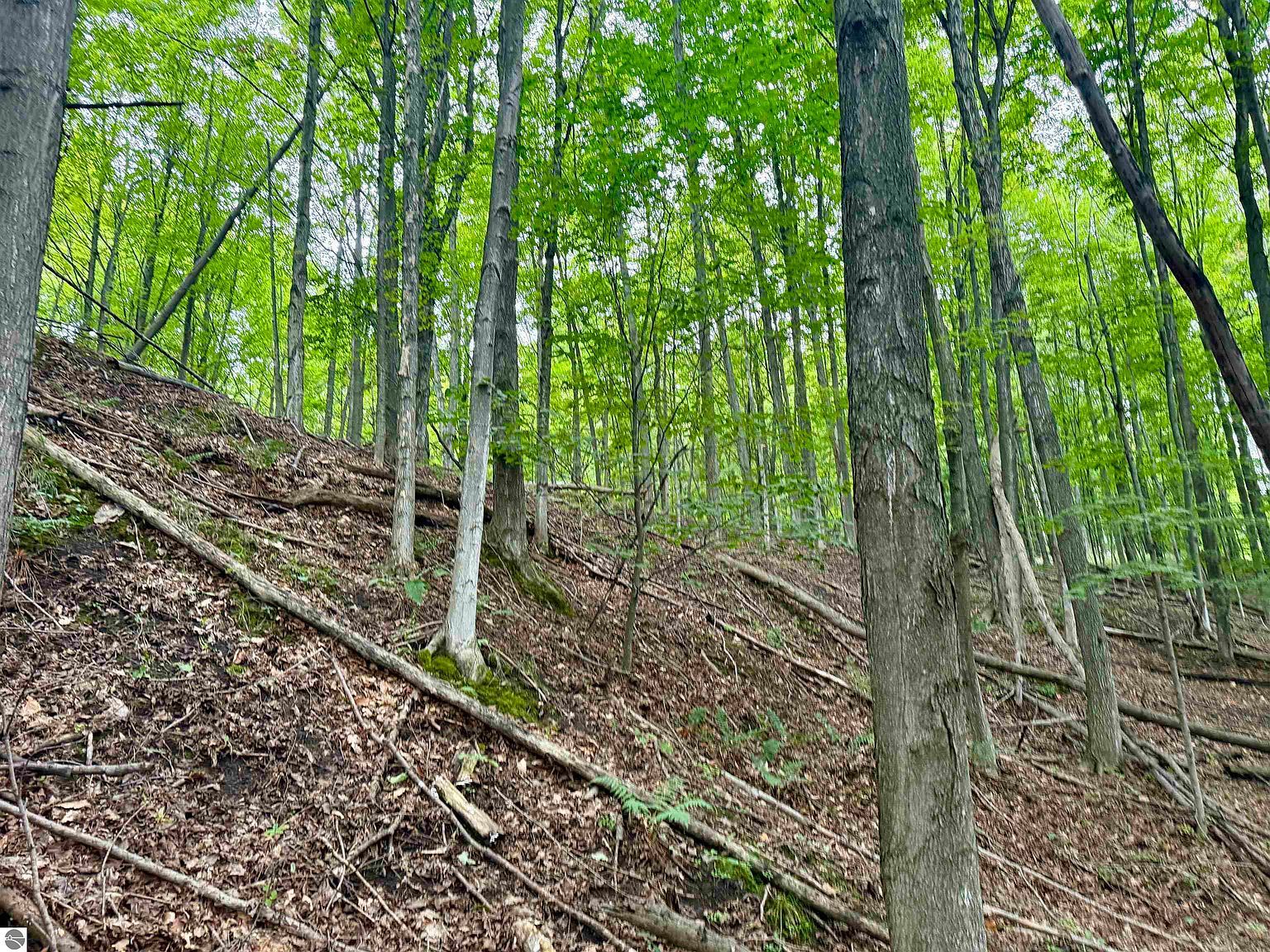 0 W Harbor Hwy Maple City, MI 49664 | Land/Lot