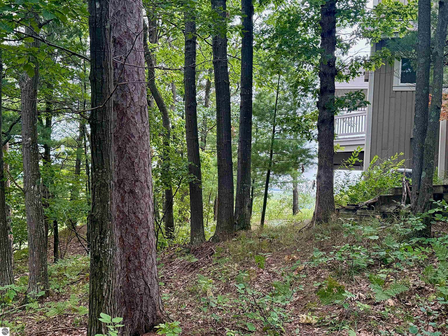 35 Brook Hill Cottages #35 Glen Arbor, MI 49636  | Land/Lot