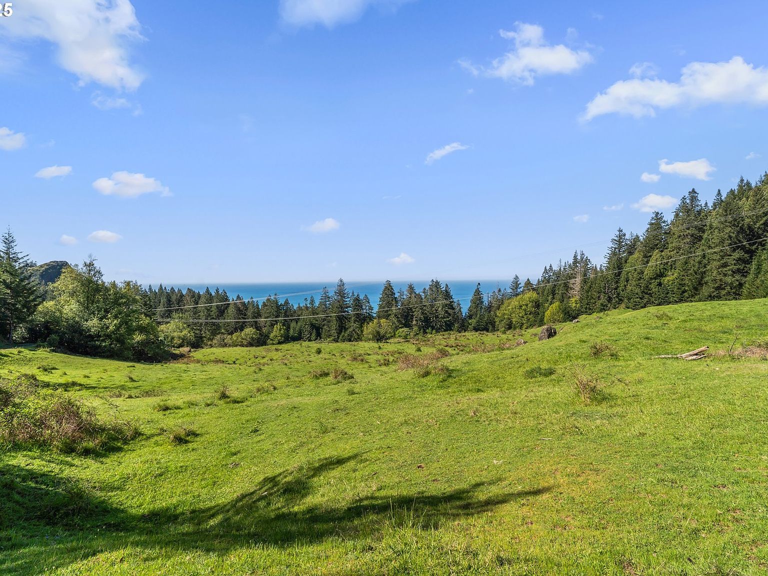 38097 Pacific Highlands Dr Port Orford, OR 97465  | Land/Lot