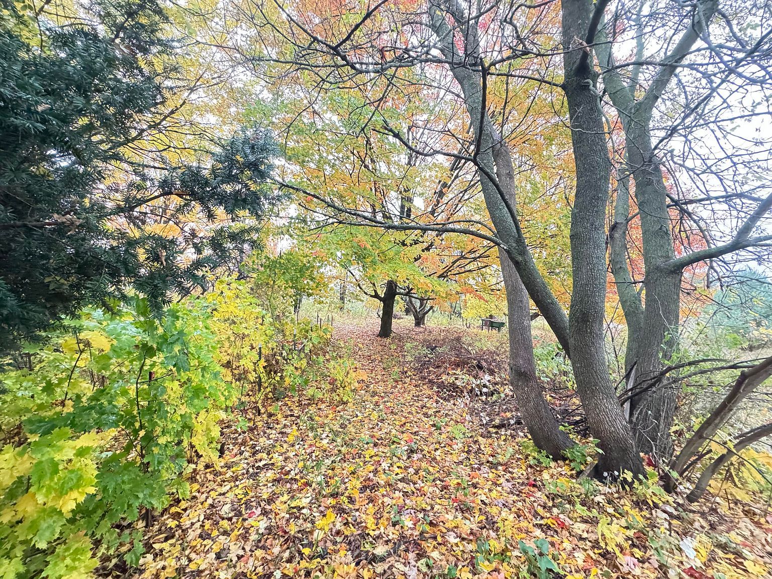 4496 N 172nd Ave Walkerville, MI 49459 | Single Family