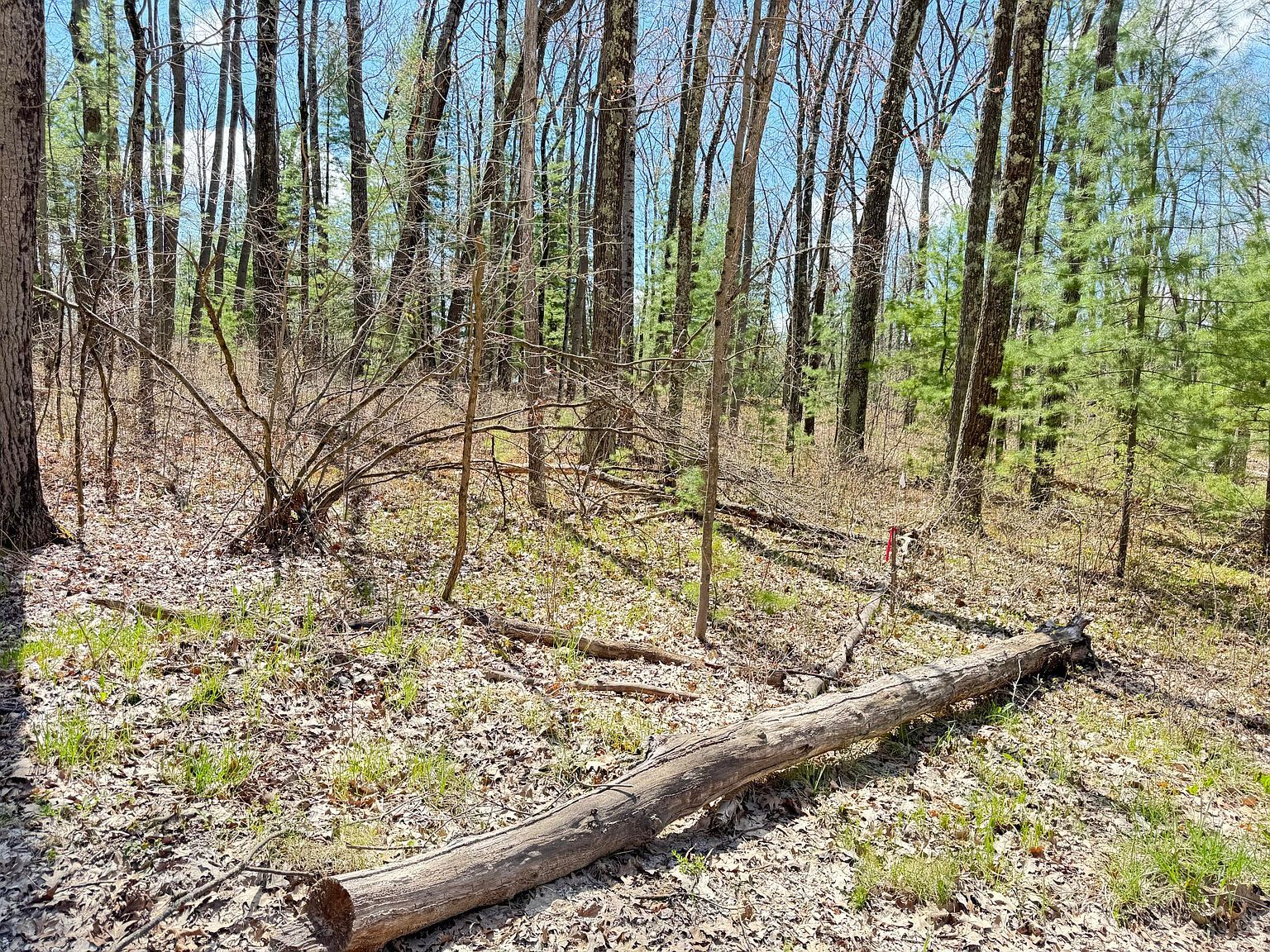 0 W Franklin St Bitely, MI 49309  | Land/Lot