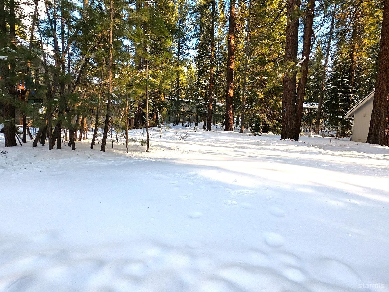 45 Maidenhair Ct Unit 45 South Lake Tahoe, CA 96150  | Land/Lot