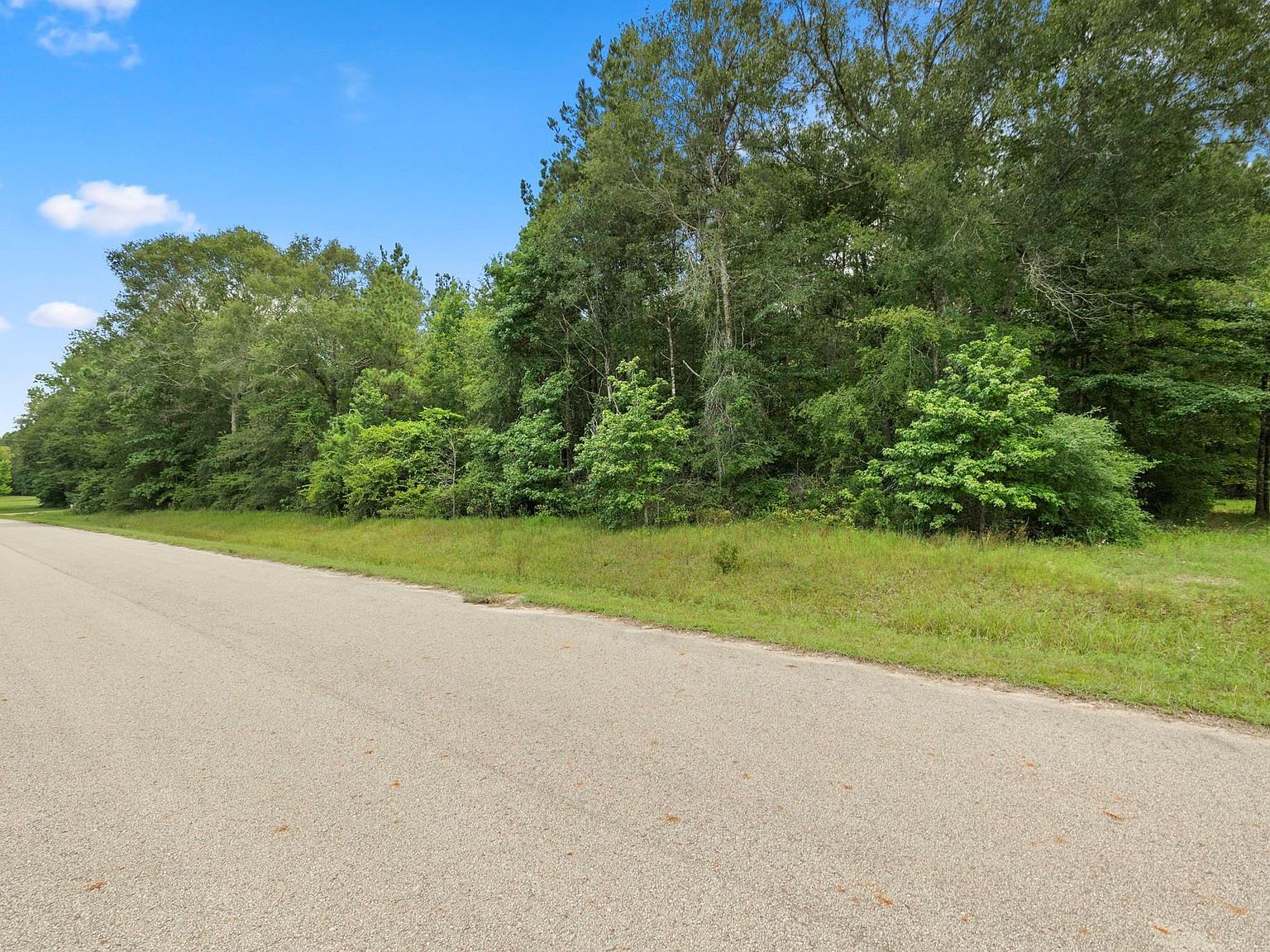 4207 Longhorn Dr Cleveland, TX 77328  | Land/Lot