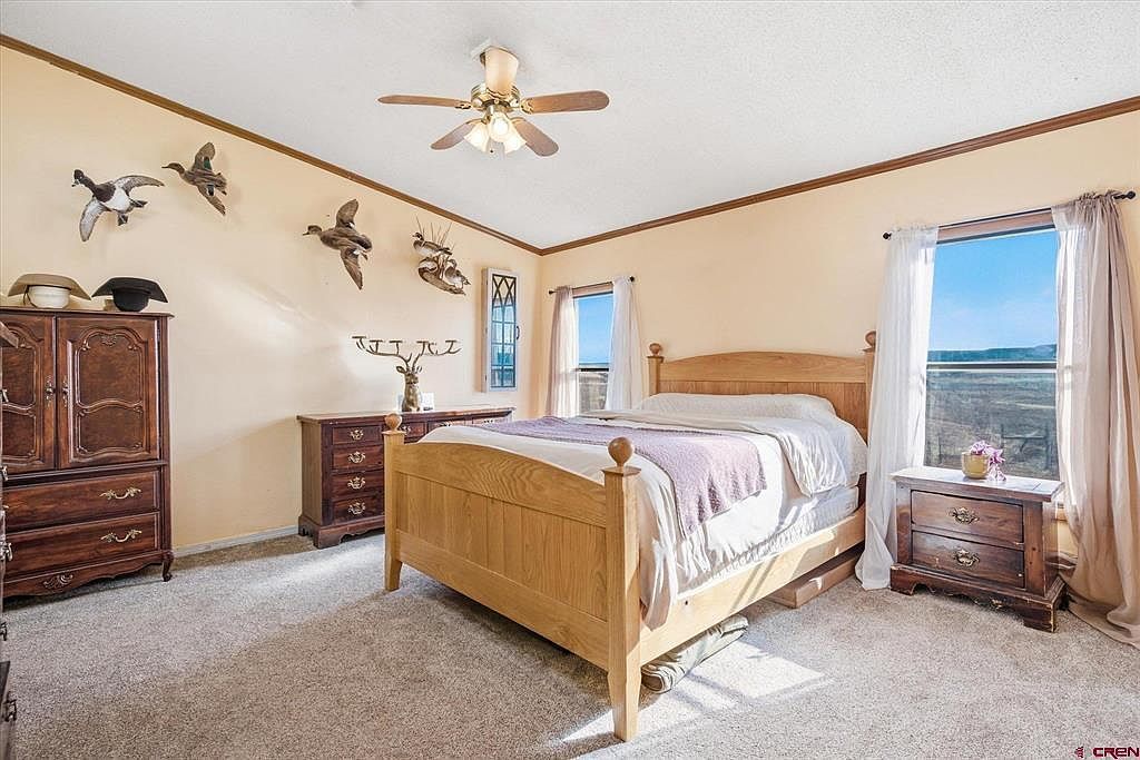 1966 County Road 321 Ignacio, CO 81137 | New build