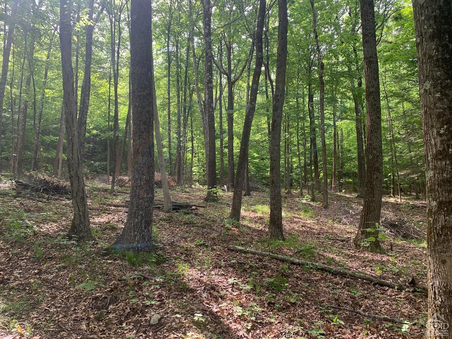 189 Covenant Cir New Lebanon, NY 12125  | Land/Lot