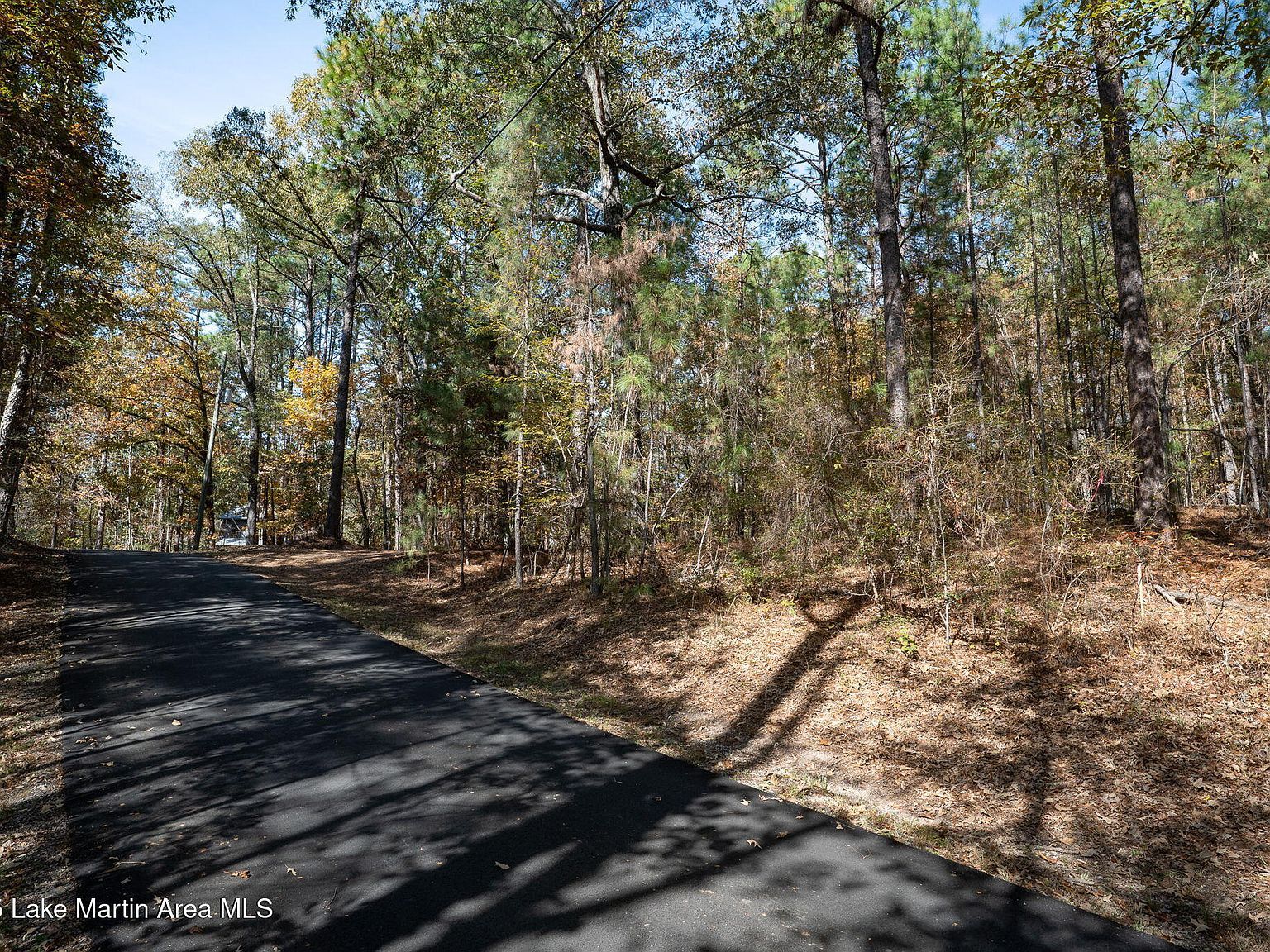284 Nichols Rd Chelsea, AL 35043  | Land/Lot