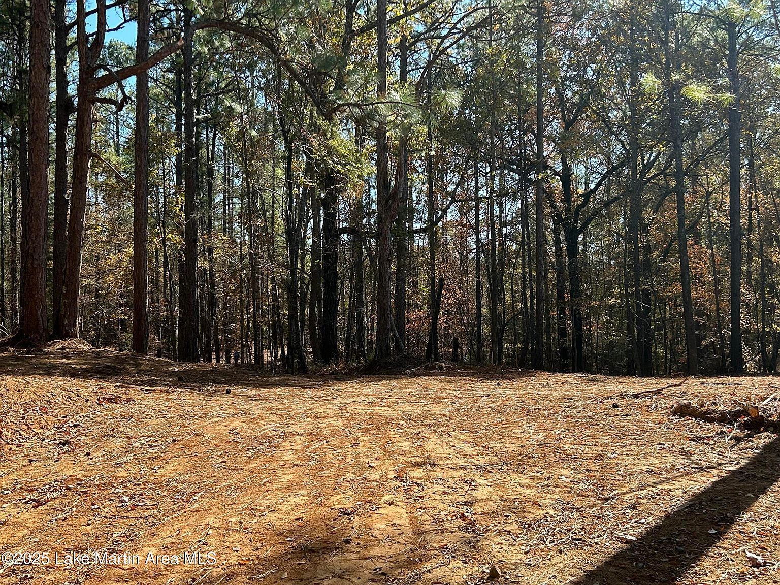 268 Nichols Rd Chelsea, AL 35043  | Land/Lot