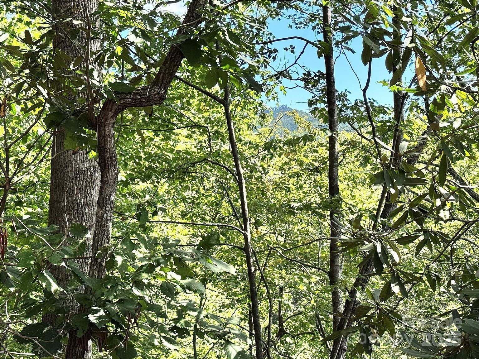 270 S Jarvis Dr Hendersonville, NC 28792 | Land/Lot