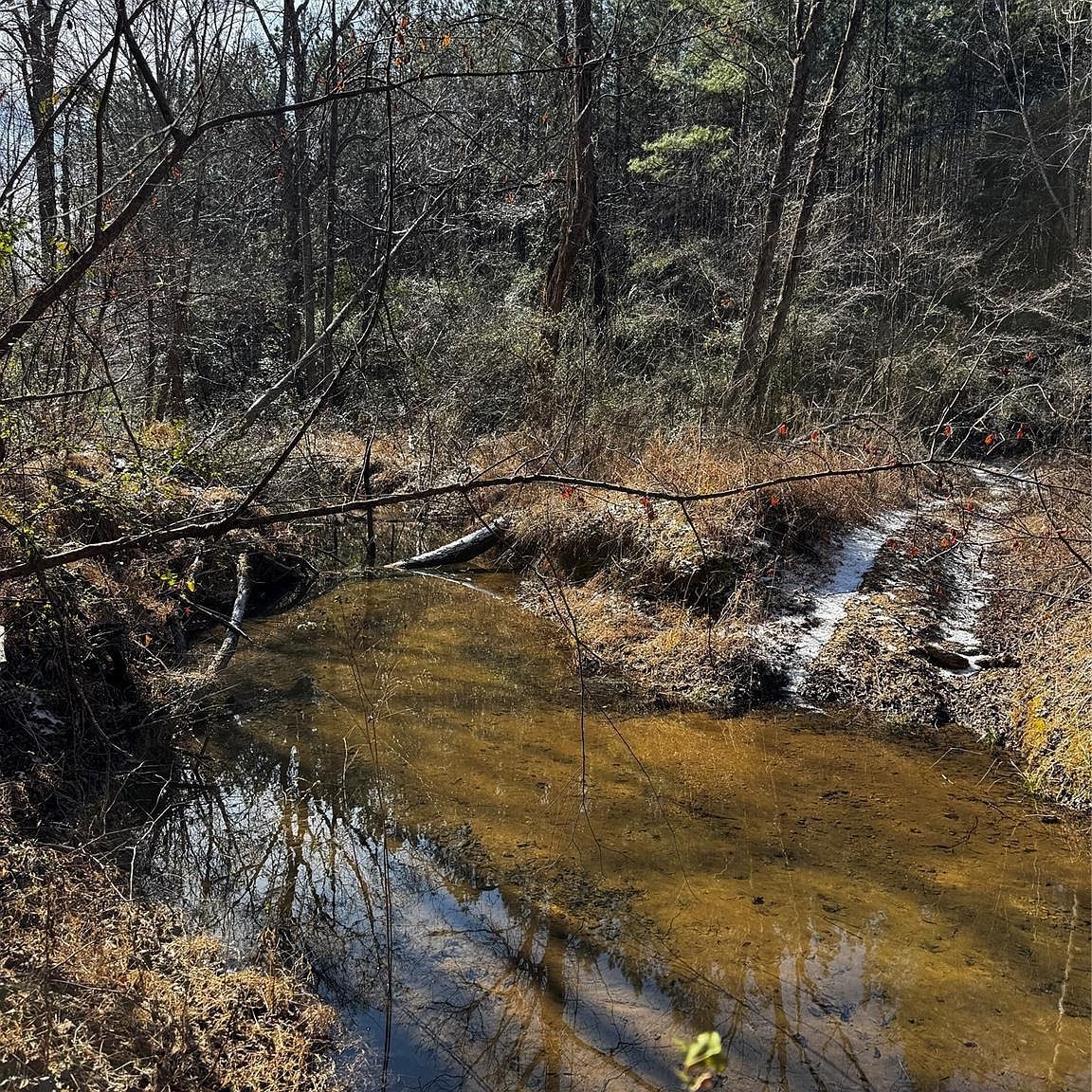 0 Painters Gap Rd Union Mills, NC 28167  | Land/Lot