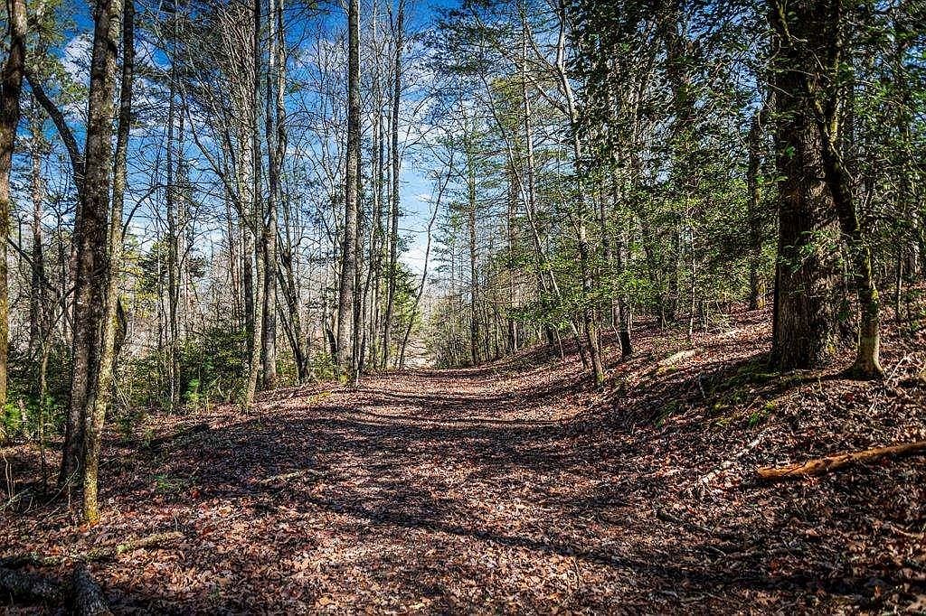 Trct C Captains Cv Blairsville, GA 30512  | Single Family