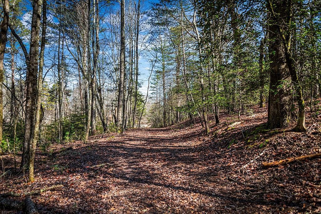 TRACT Captains Cv #C Blairsville, GA 30512  | Land/Lot