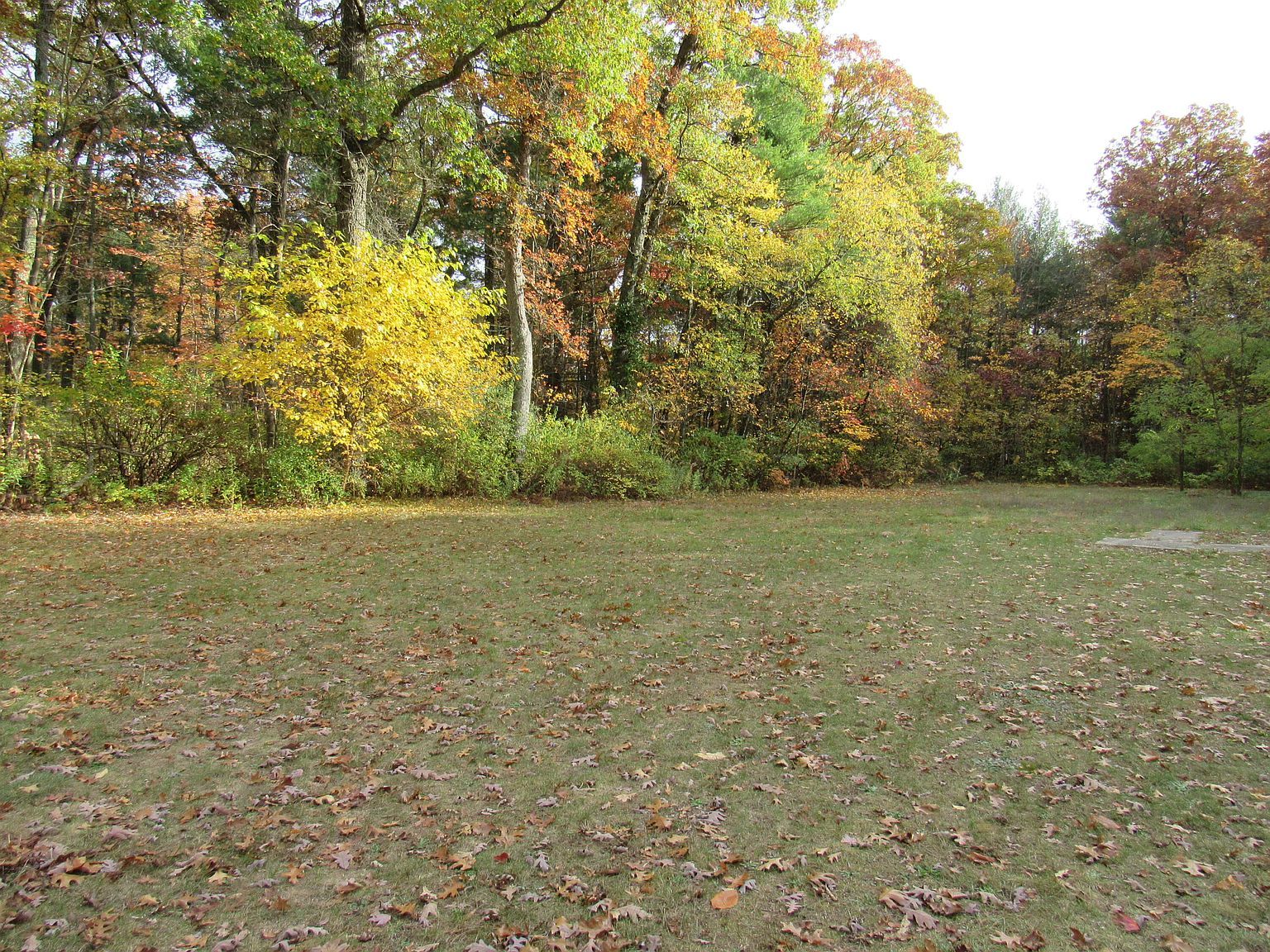 4015 Wilson Beach Rd Twin Lake, MI 49457  | Land/Lot