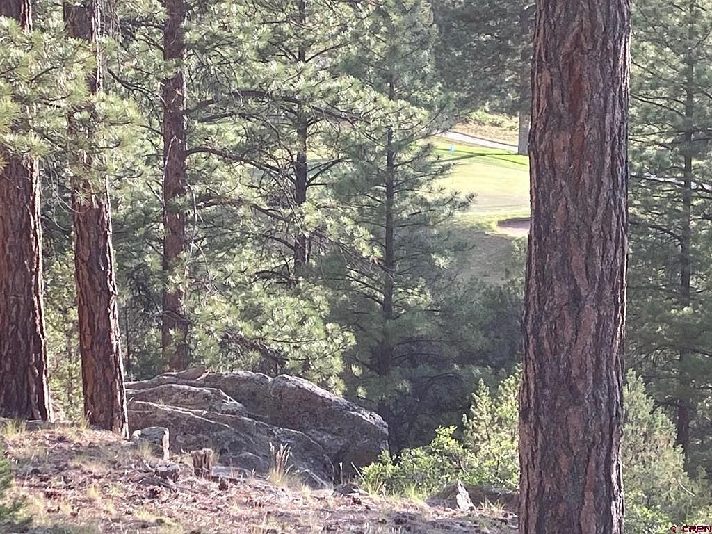 10 Poplar Pl Ridgway, CO 81432  | Land/Lot