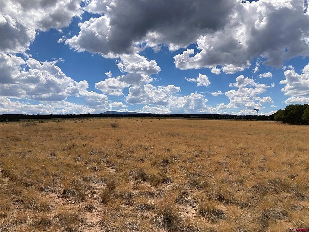 1 County Road 22b Montrose, CO 81403 | Land/Lot