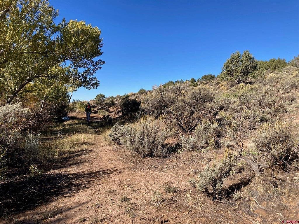 1590 SE 3rd St Cedaredge, CO 81413  | Land/Lot