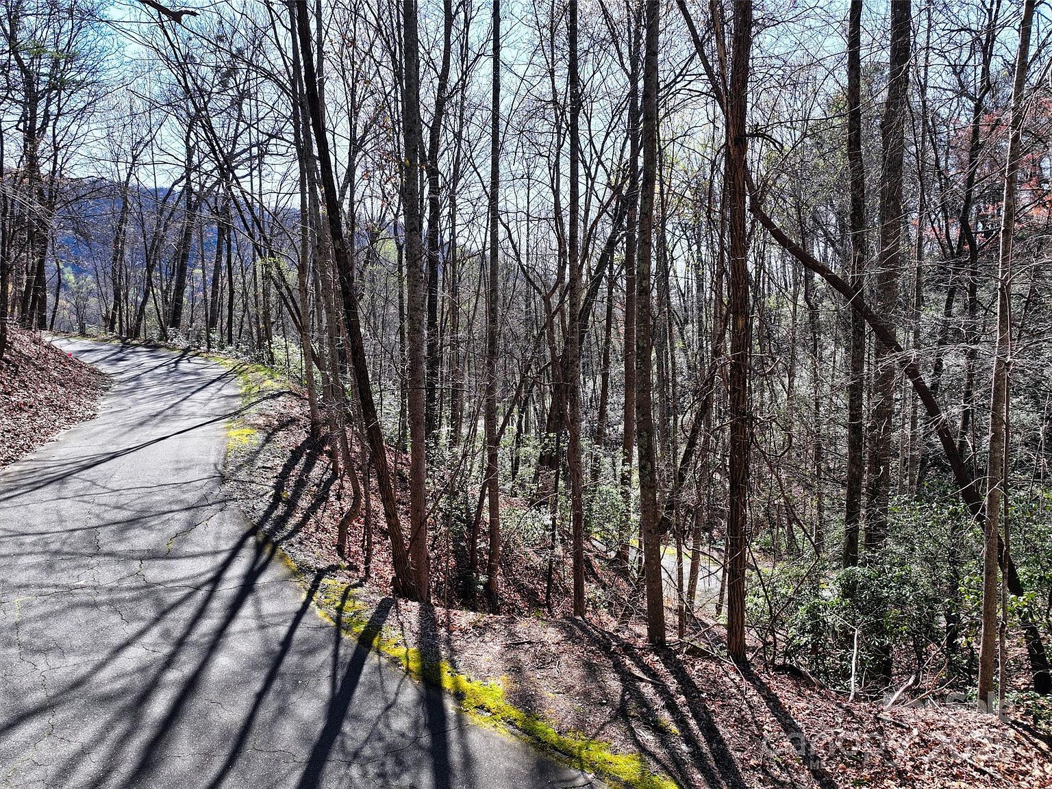 0 Deerfield Dr #134 Rutherfordton, NC 28139 | Land/Lot