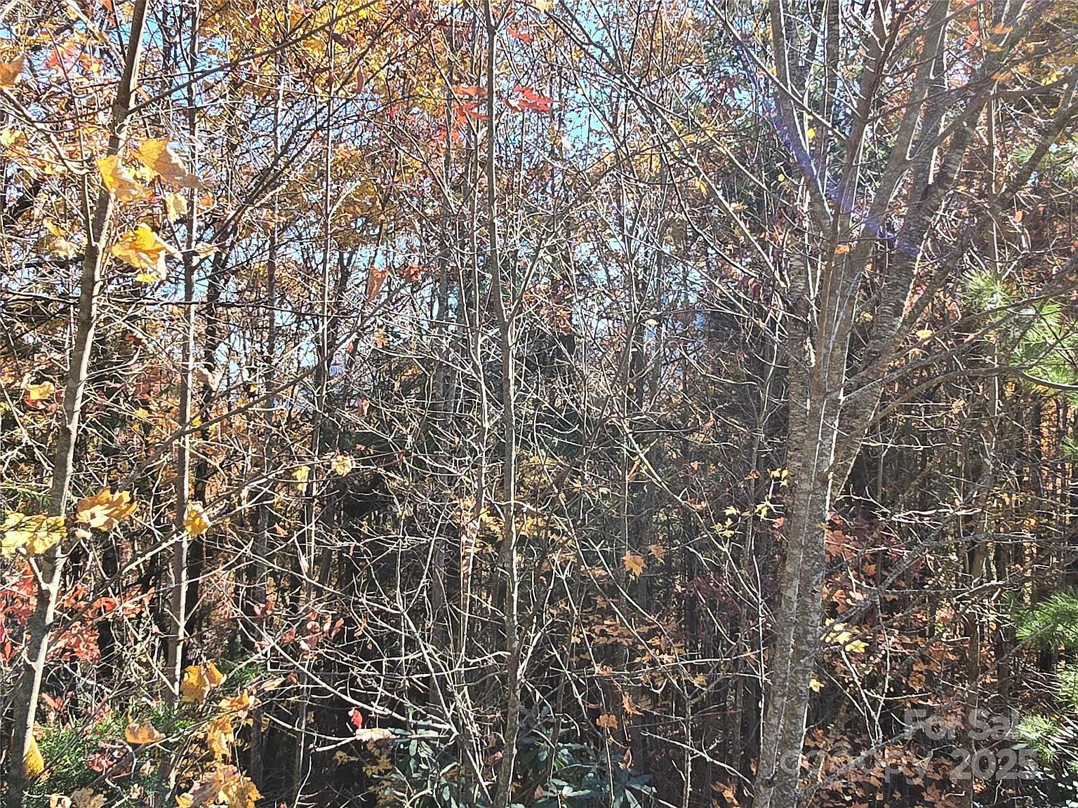 295 S Feather Falls Trl #50 Black Mountain, NC 28711 | Land/Lot