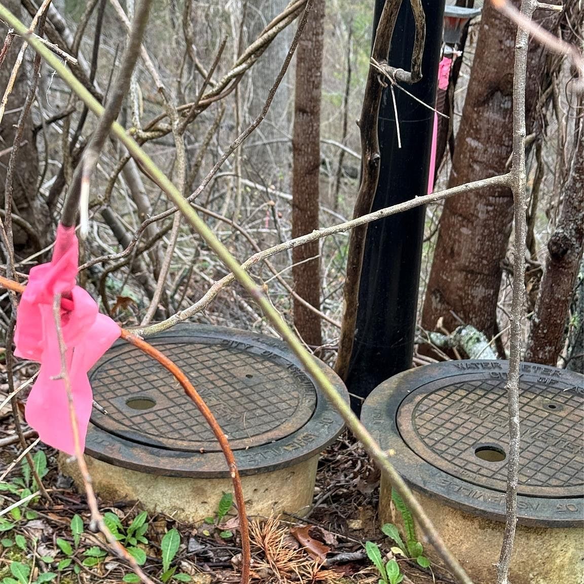 140 Summit Tower Cir Asheville, NC 28804 | Single Family