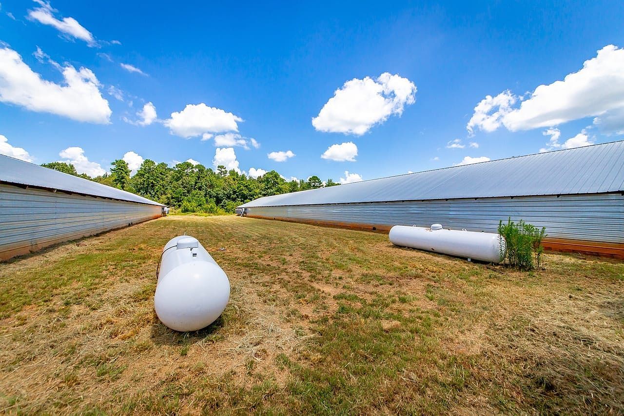 154 Bald Eagle Ln Mena, AR 71953 | Single Family