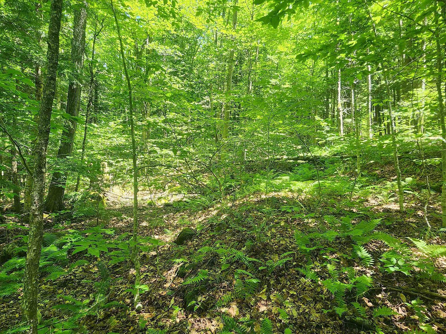 0 Hillcrest Dr Chester, VT 05143  | Land/Lot