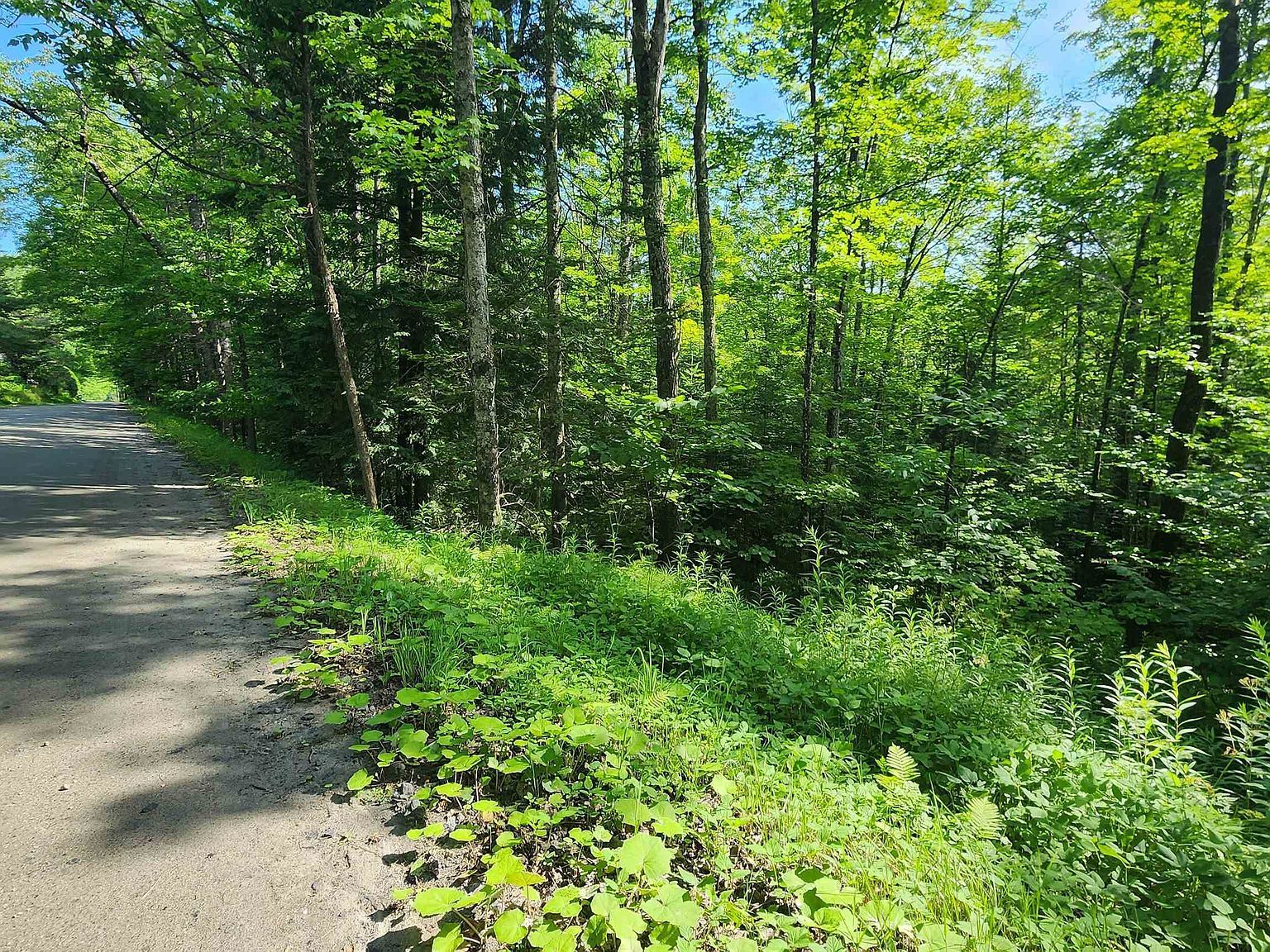 0 Brook Rd Chelsea, VT 05038  | Land/Lot