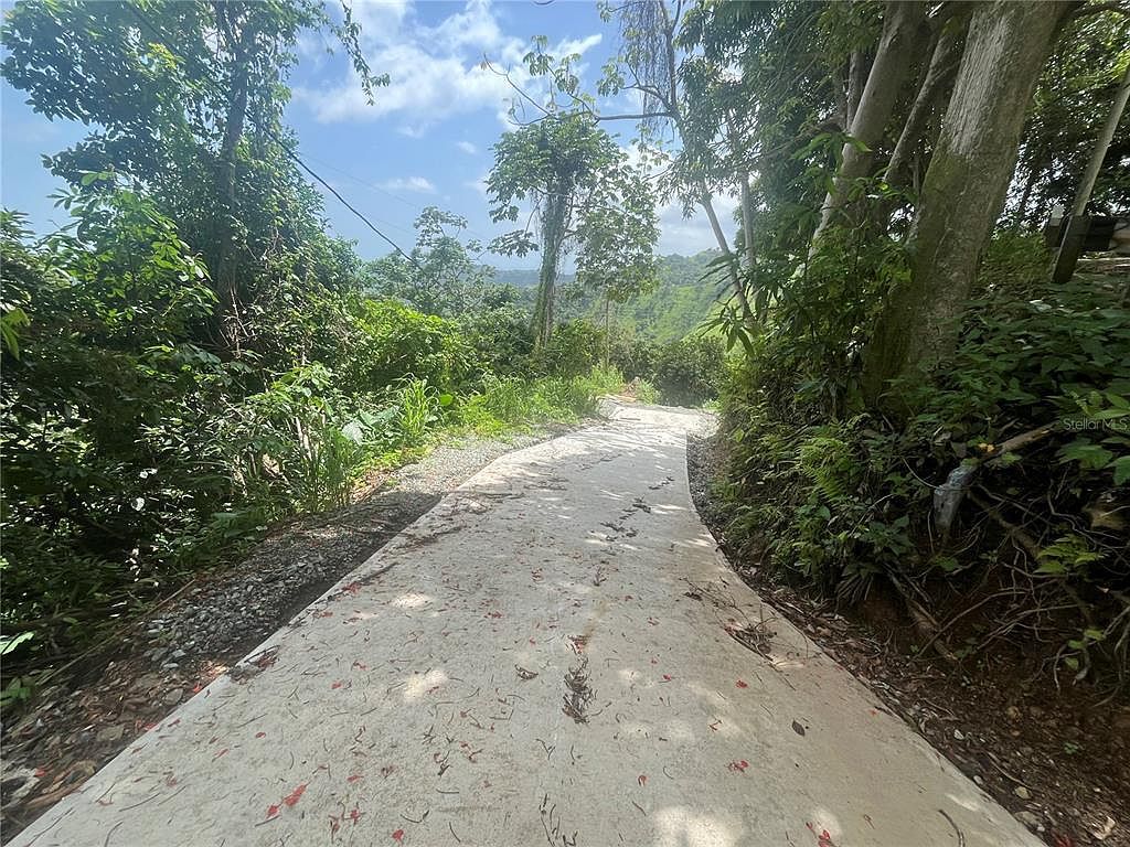 Km 19.9 Carr #128 Yauco, PR 00698  | Land/Lot