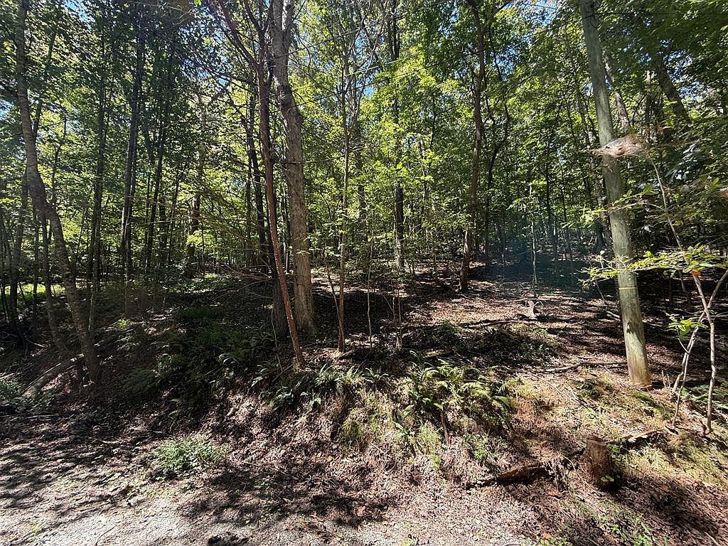 137R/135 Shiloh Ln Ellijay, GA 30540  | Land/Lot