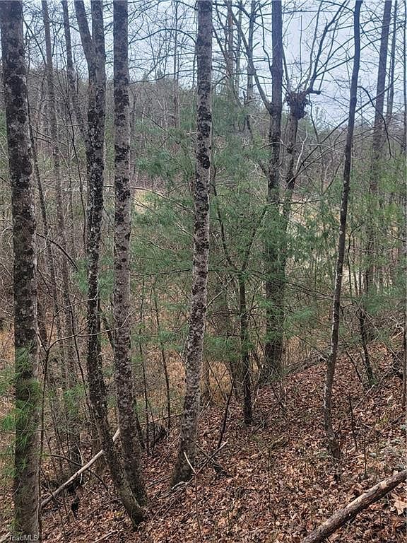 0 Browntown Rd LOT 5 Millers Creek, NC 28651  | Land/Lot