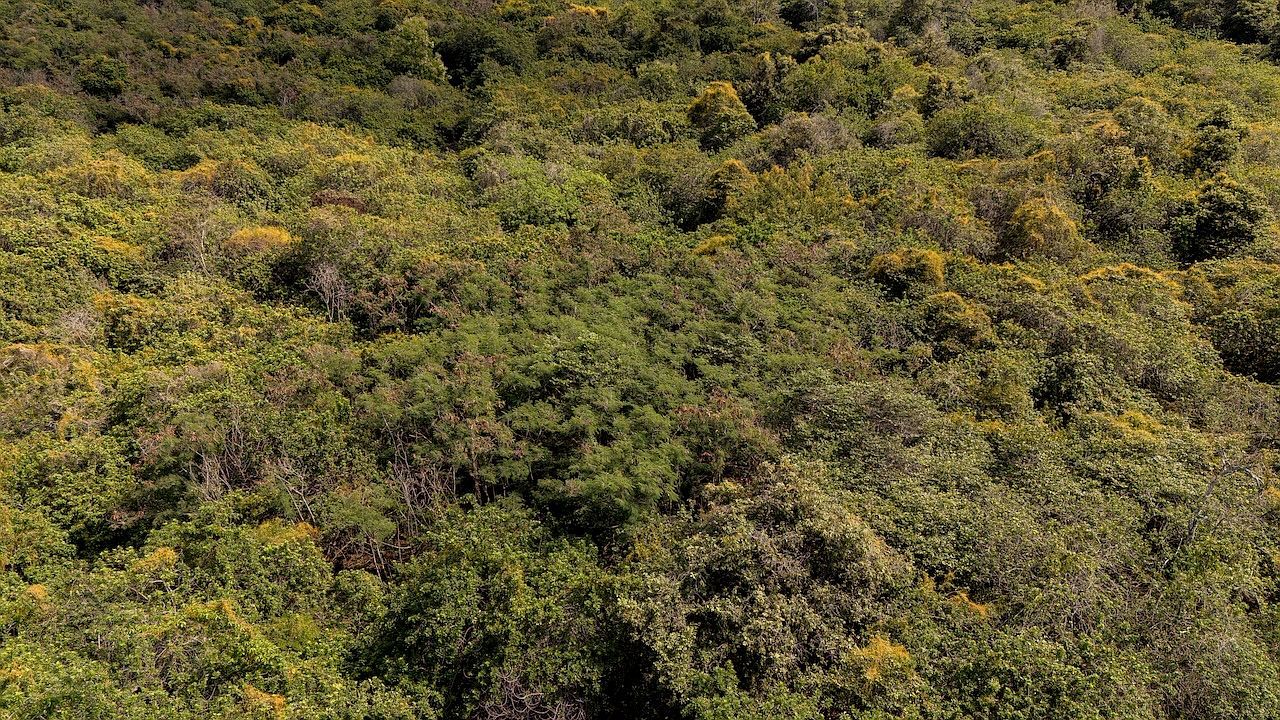 87-2721 Hawaii Belt Rd Lot 2A Captain Cook, HI 96704  | Land/Lot