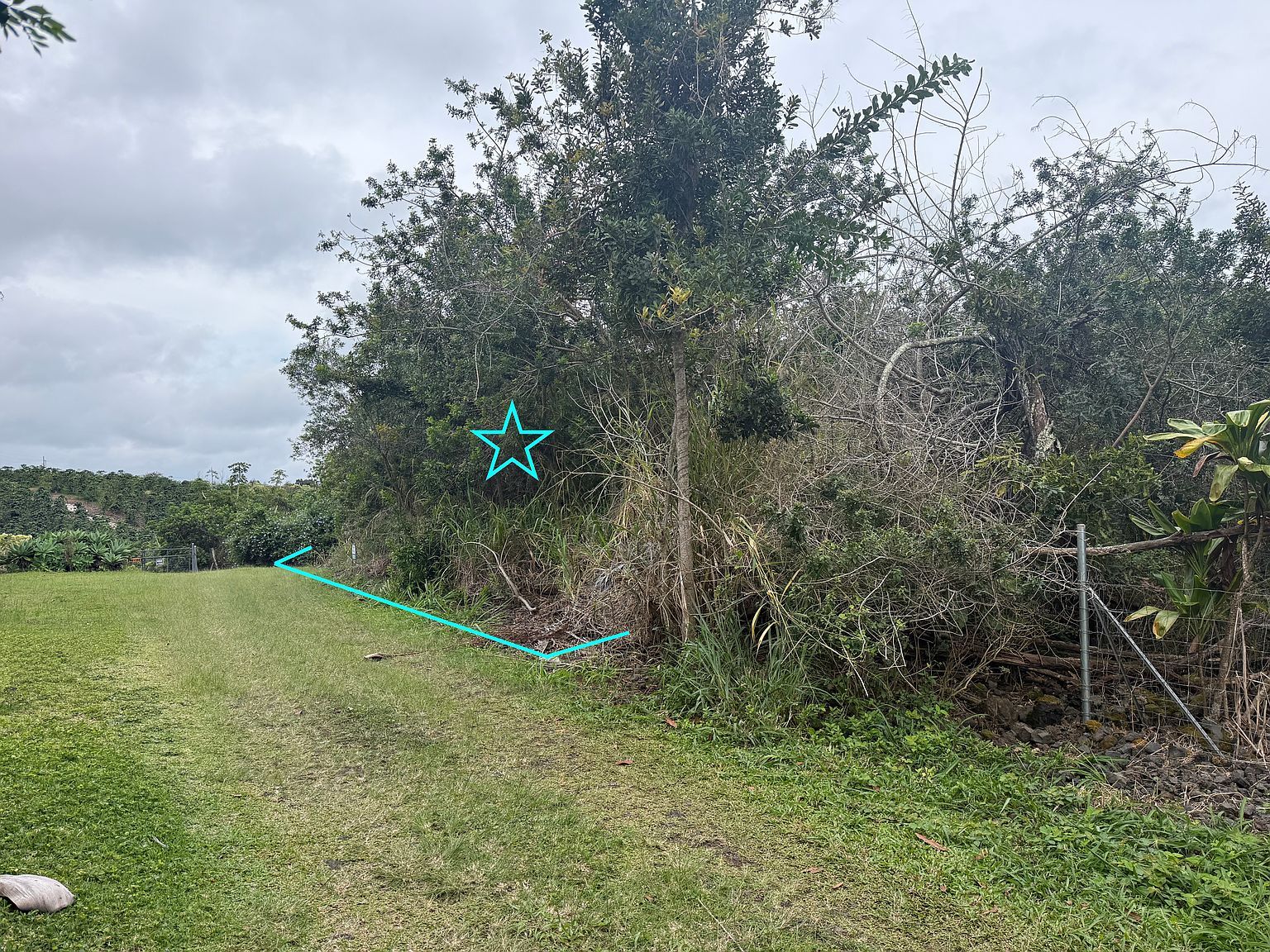 Mamalahoa Hwy Lot 1-A-9 Captain Cook, HI 96704  | Land/Lot