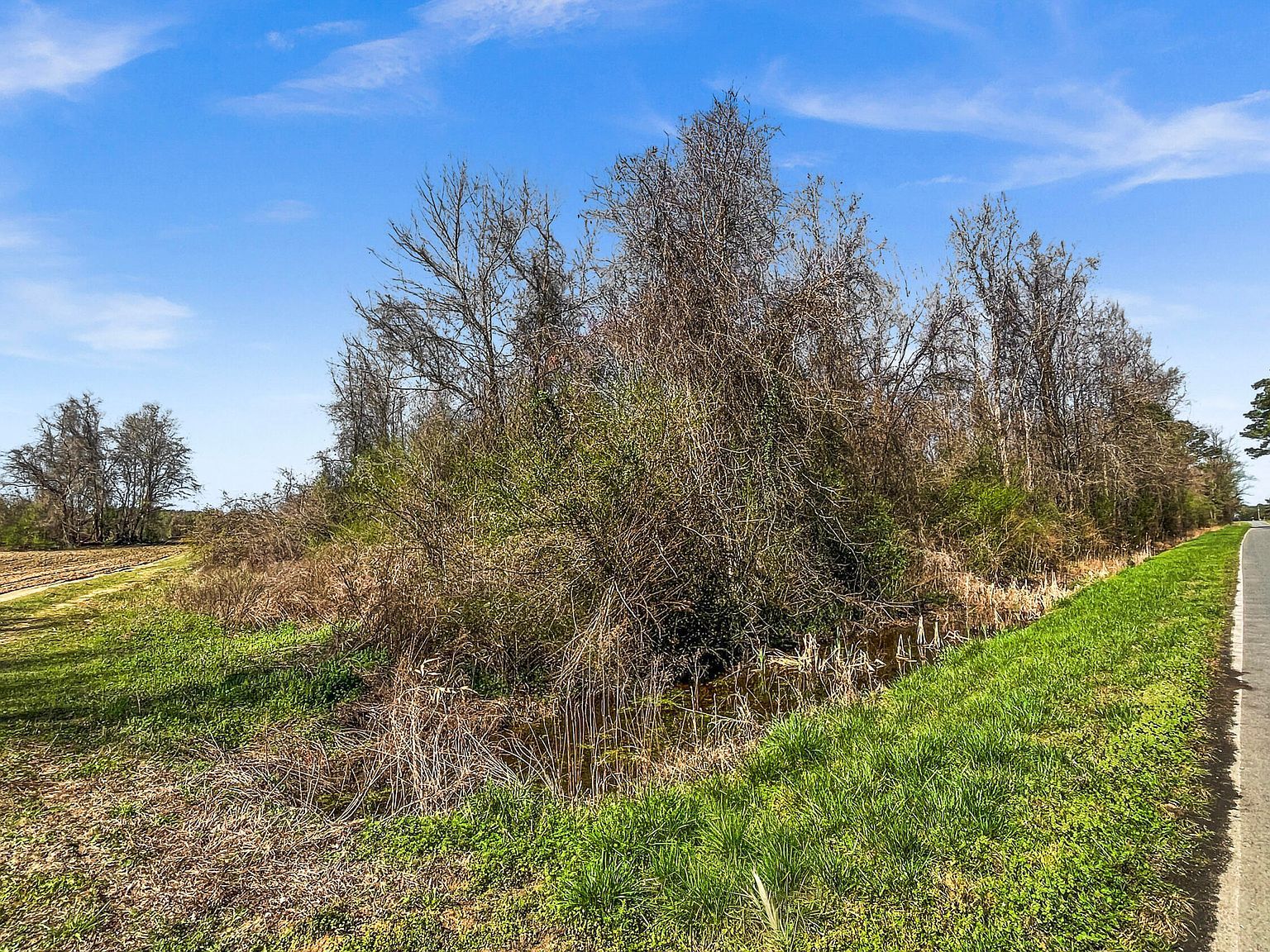 0 Graham Dobson Rd Magnolia, NC 28453  | Land/Lot