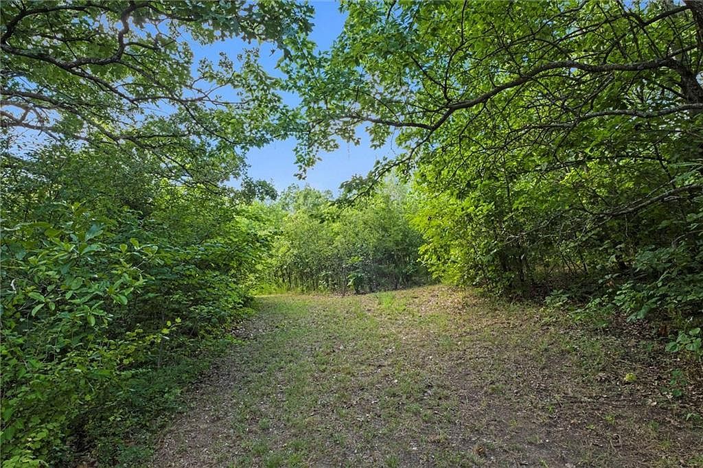 Young Dr Odessa, MO 64076  | Land/Lot