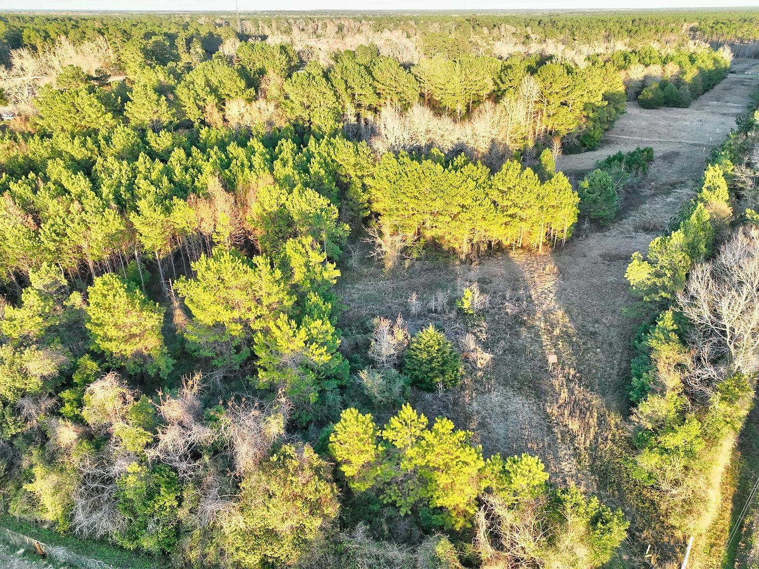 41 Royce Ln #2610 Livingston, TX 77351  | Land/Lot