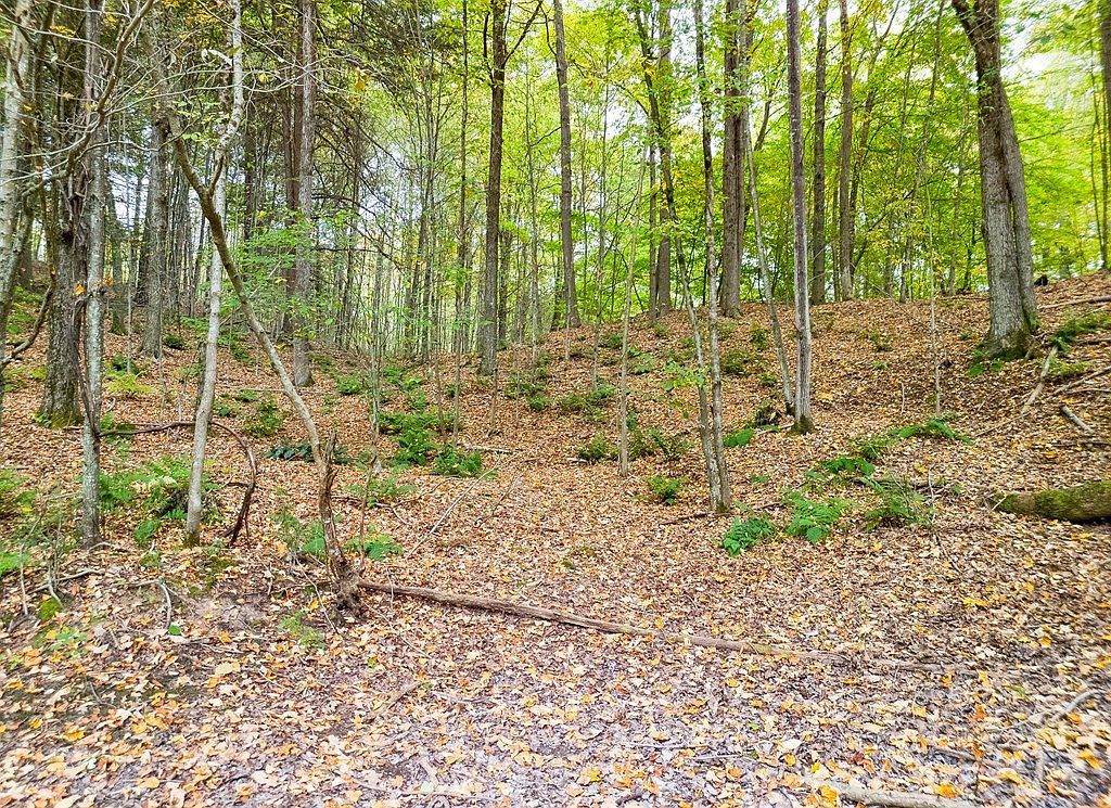 0 Buck Horn Court Rd Wellsboro, PA 16901 | Land/Lot