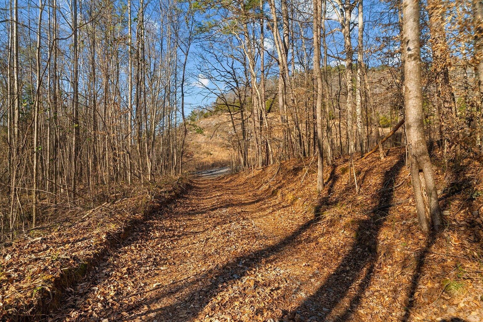 0 Cherokee Dr NE Dalton, GA 30721  | Land/Lot