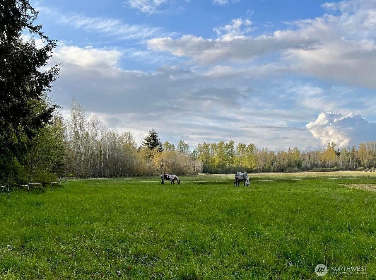 3925 Harts Lake Rd S Roy, WA 98580  | New build