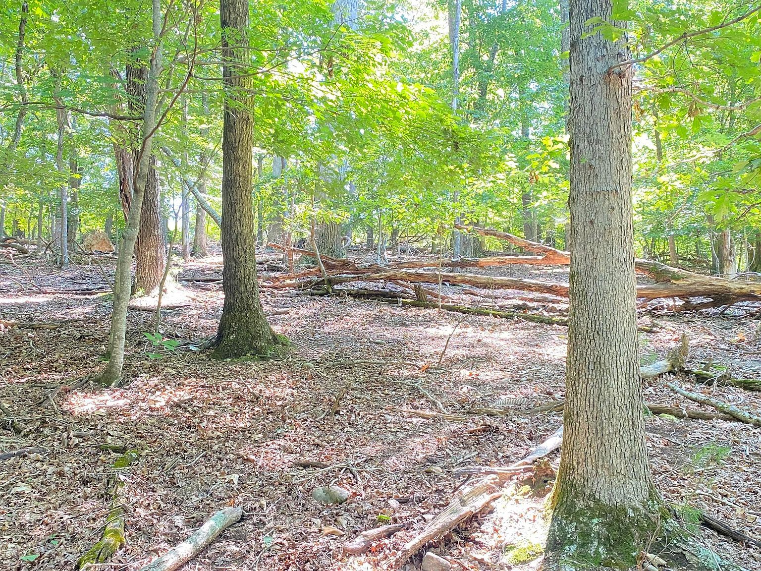 0 Flat Woods Rd Dandridge, TN 37725  | Land/Lot