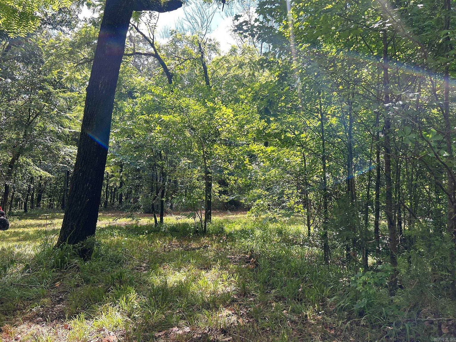 Unk Fs Rd #521 Mena, AR 71953  | Land/Lot