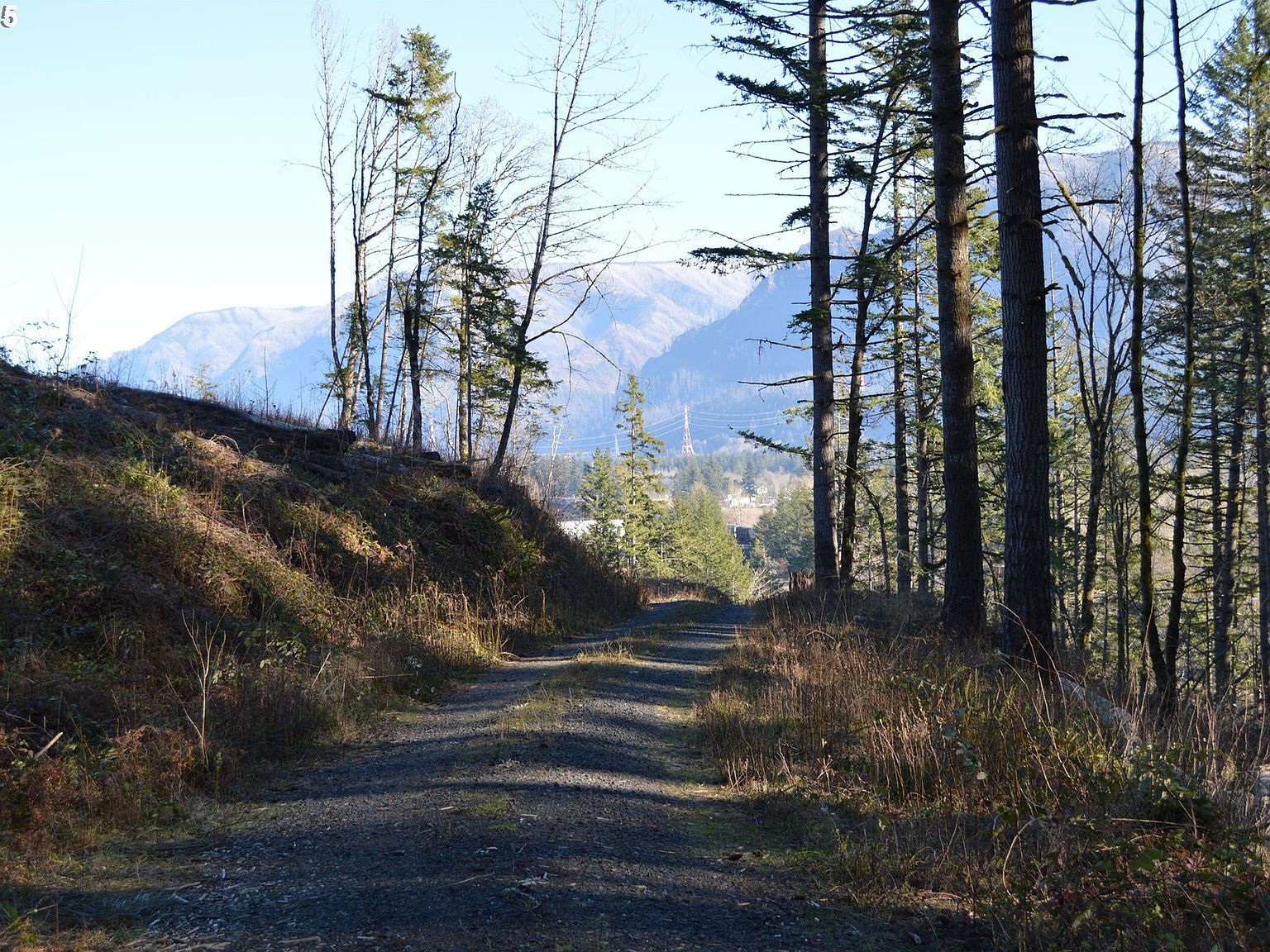 Warren Rd #3 North Bonneville, WA 98639 | Land/Lot