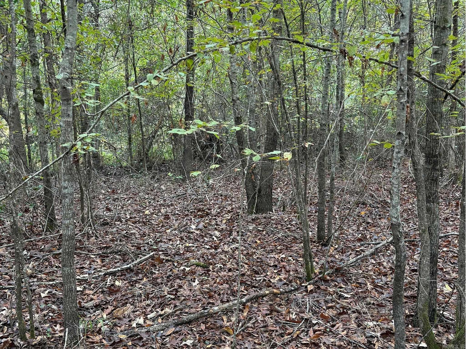 0 Kansas Rd Gurdon, AR 71743 | Land/Lot