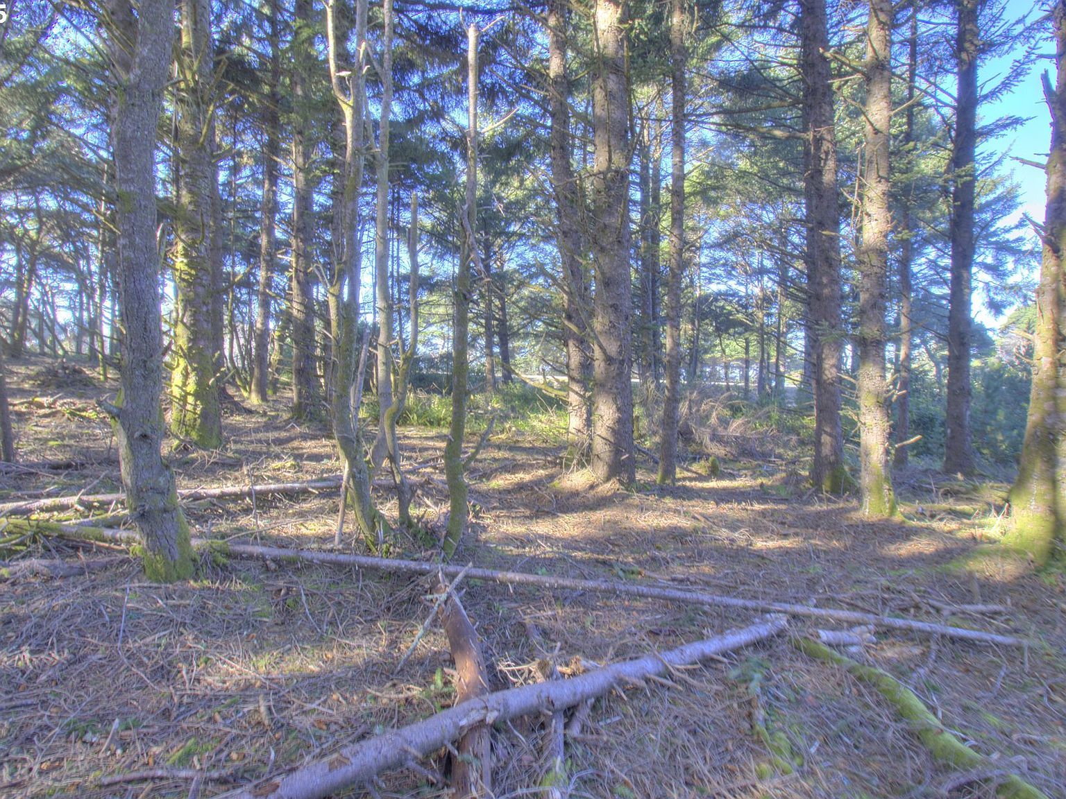 Ophir Rd Gold Beach, OR 97444  | Land/Lot