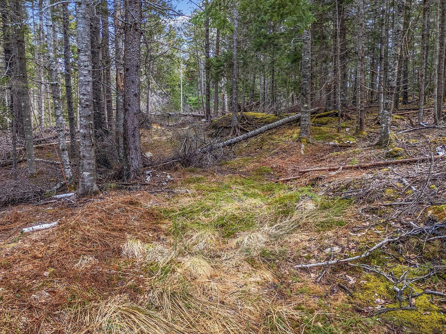 12D-12I Mildred Grace Rd Islesboro, ME 04848, Islesboro, ME, 4848  | Land/Lot