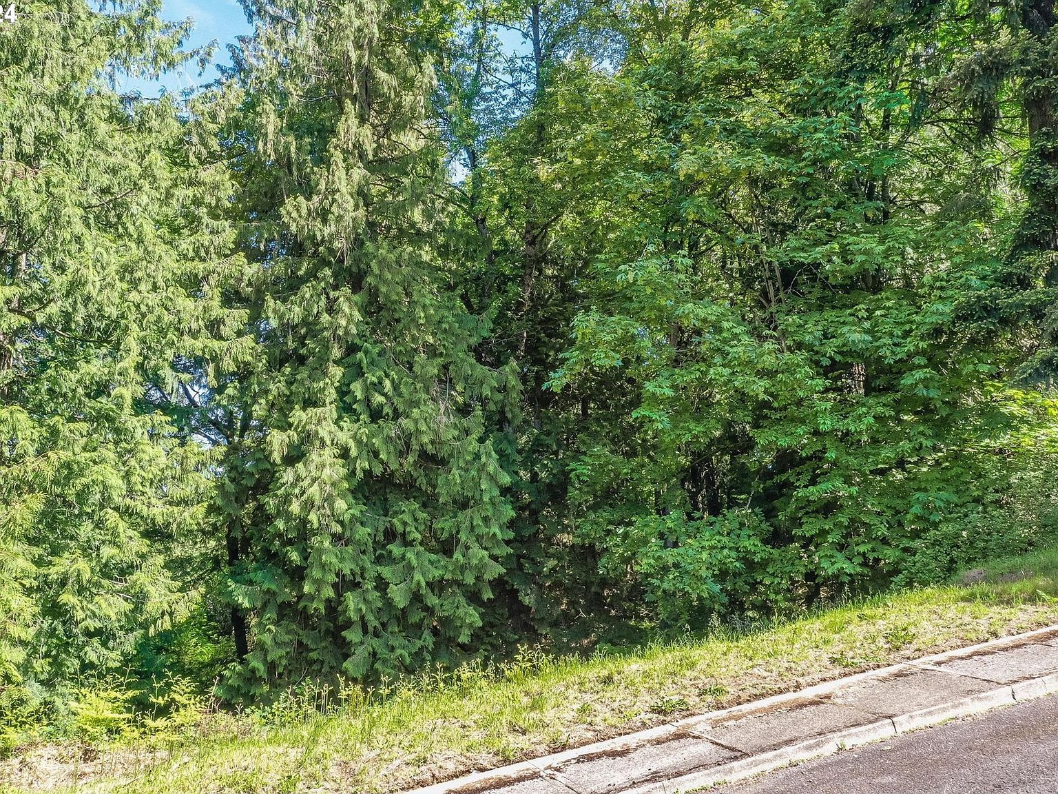 SE Duke St Portland, OR 97236  | Land/Lot